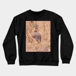 Dik Dik Crewneck Sweatshirt